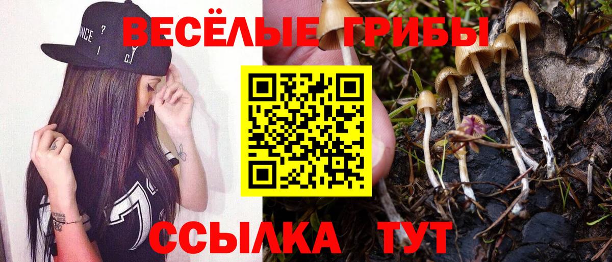 Псилоцибиновые грибы ЛСД  Галлюциногенные грибы Cubensis  Вход с VPN  Мирный 