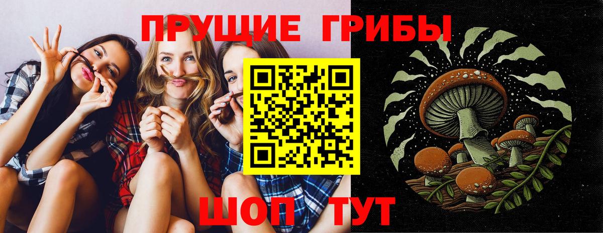 Псилоцибиновые грибы Psilocybine cubensis Мирный